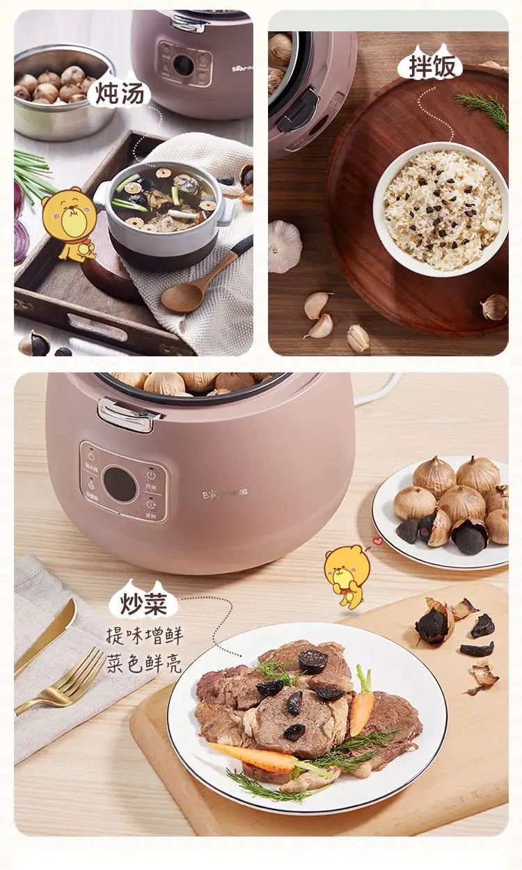 Black Garlic Machine Intelligent Large Capacity Automatic Homemade Fermenting Machine for Black Garlic Household Single-Petal