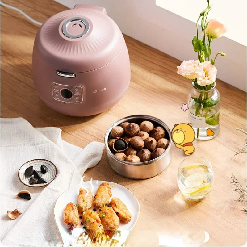 Black Garlic Machine Intelligent Large Capacity Automatic Homemade Fermenting Machine for Black Garlic Household Single-Petal