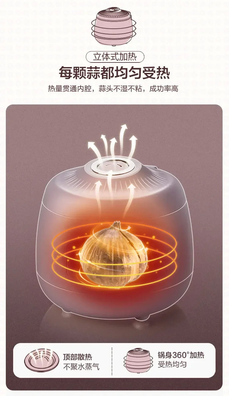 Black Garlic Machine Intelligent Large Capacity Automatic Homemade Fermenting Machine for Black Garlic Household Single-Petal